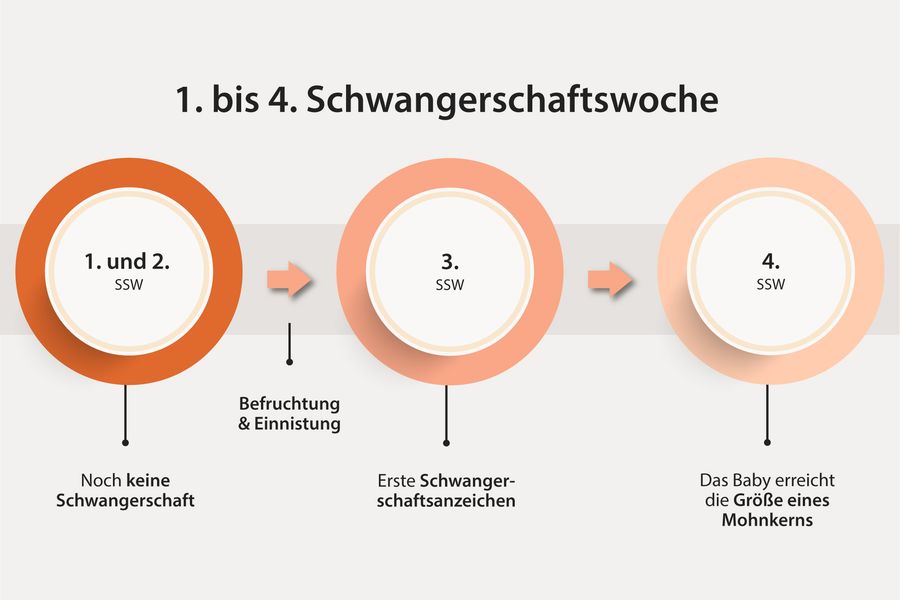 schwangerschaftsanzeichen woche 1 bis 4