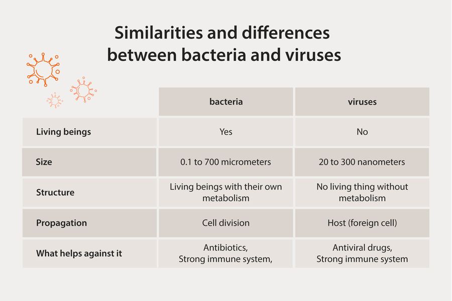 bacteria vs virus