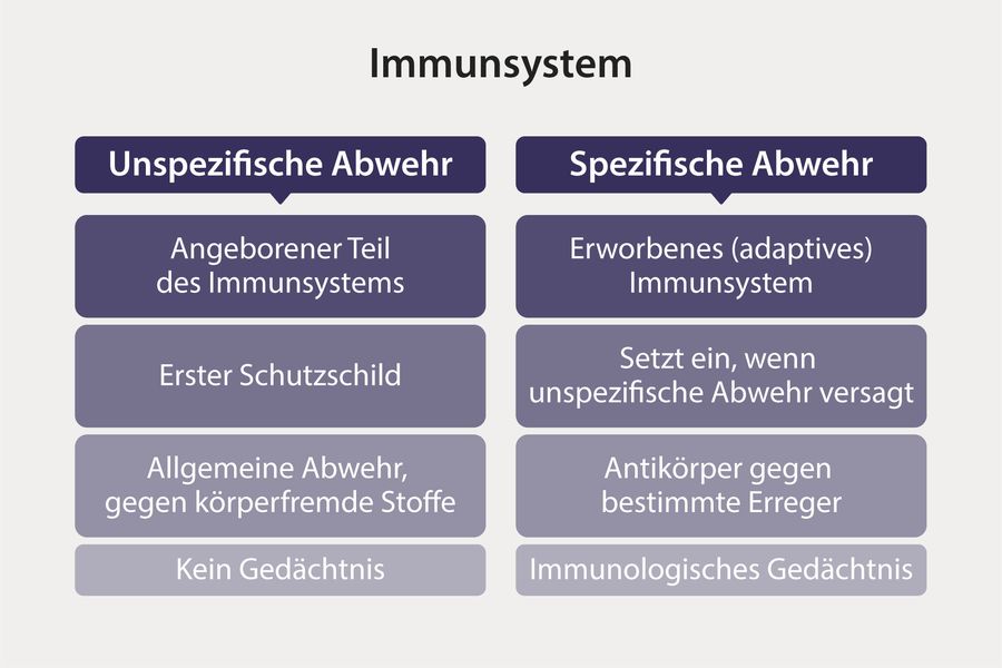 spezifische und unspezifische Immunabwehr im Vergleich