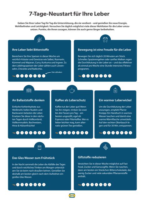 7-Tage-Neustart-Leber