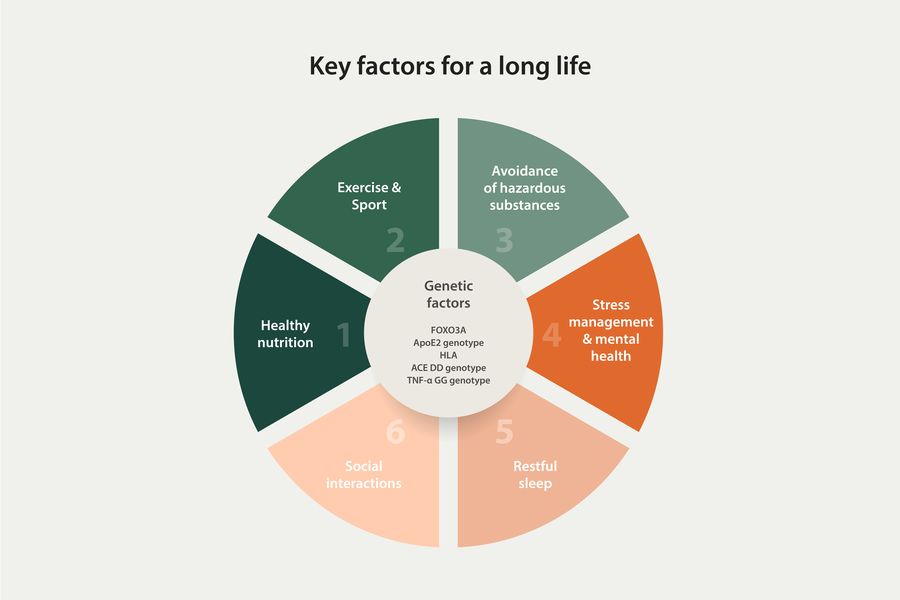 key factors for a long life