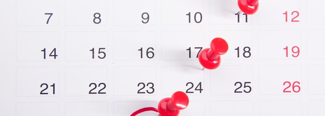 2021-2022: Looking Backwards, Looking Ahead