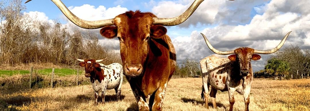 Texas announces its state-wide broadband plan