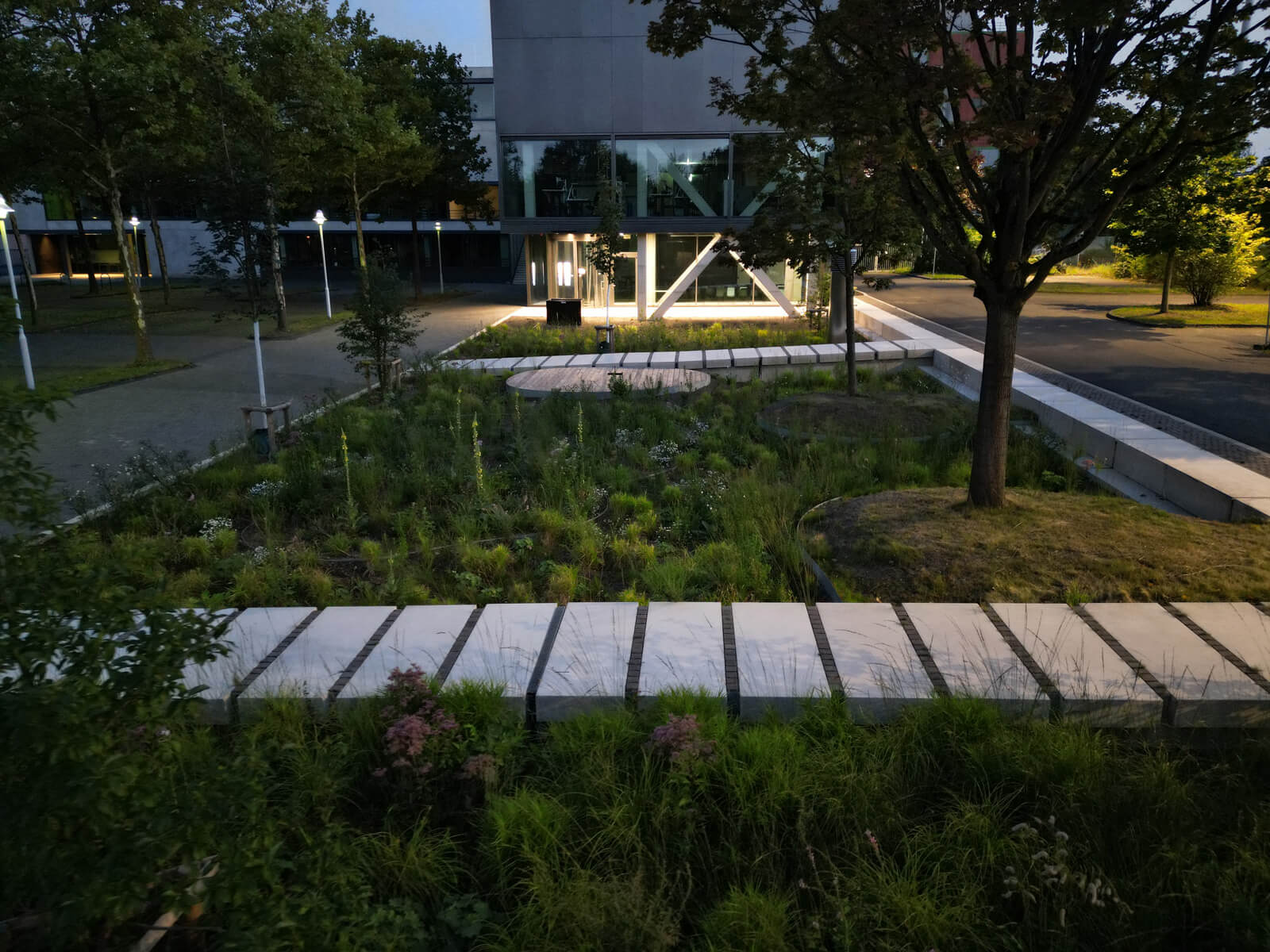 Modern garden with geometric stone paths, lush greenery, and trees, set near a contemporary building at dusk.