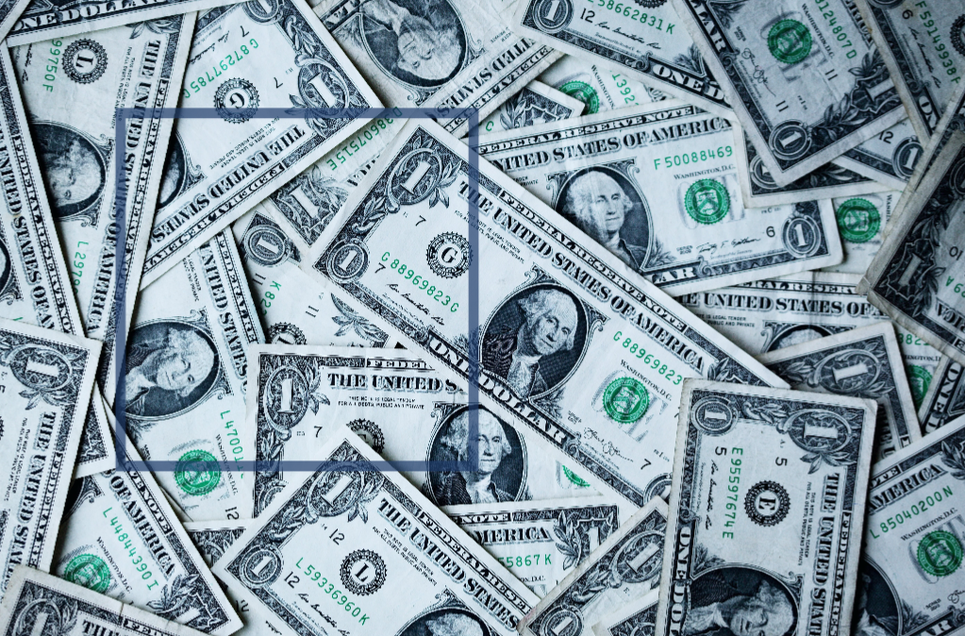 Central Banks, Politics & Dollar Resilience