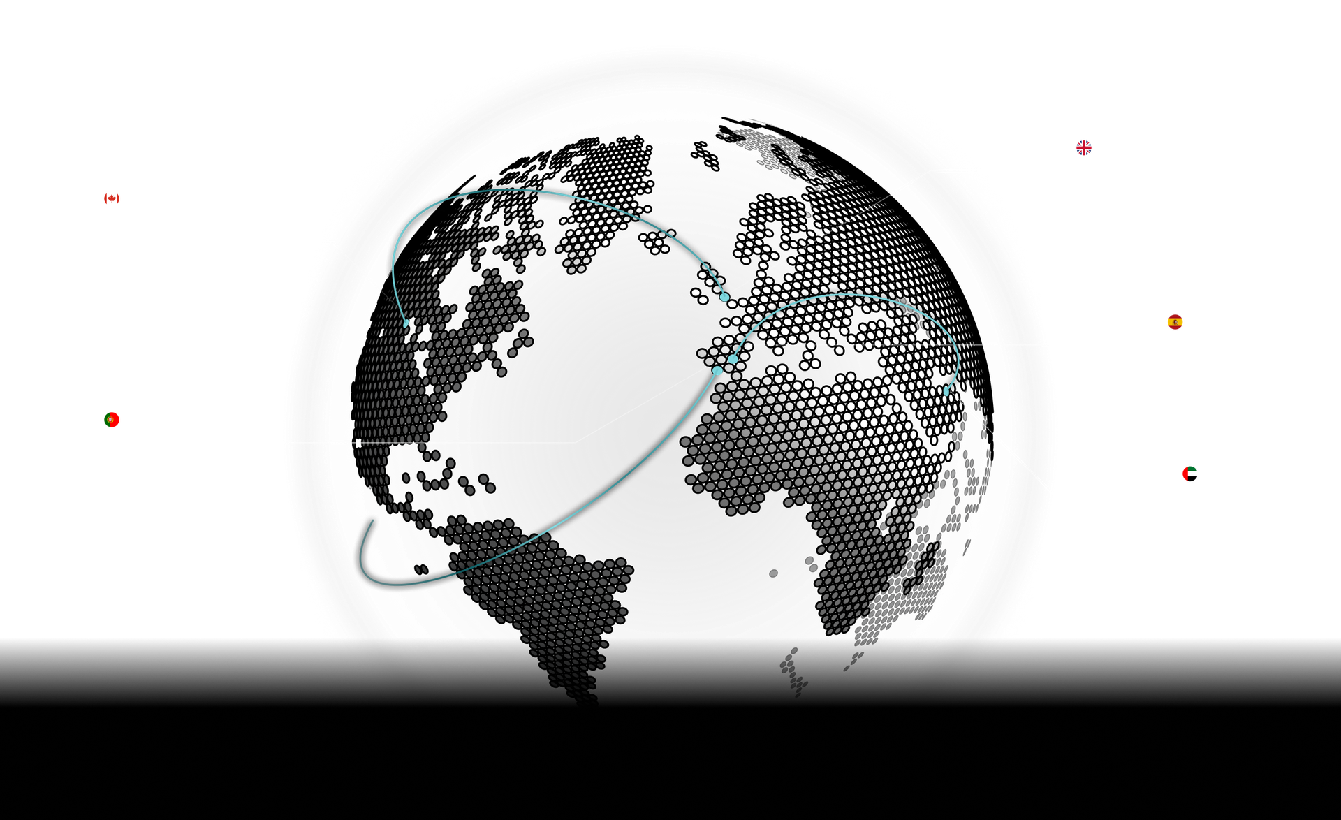 Globe section image