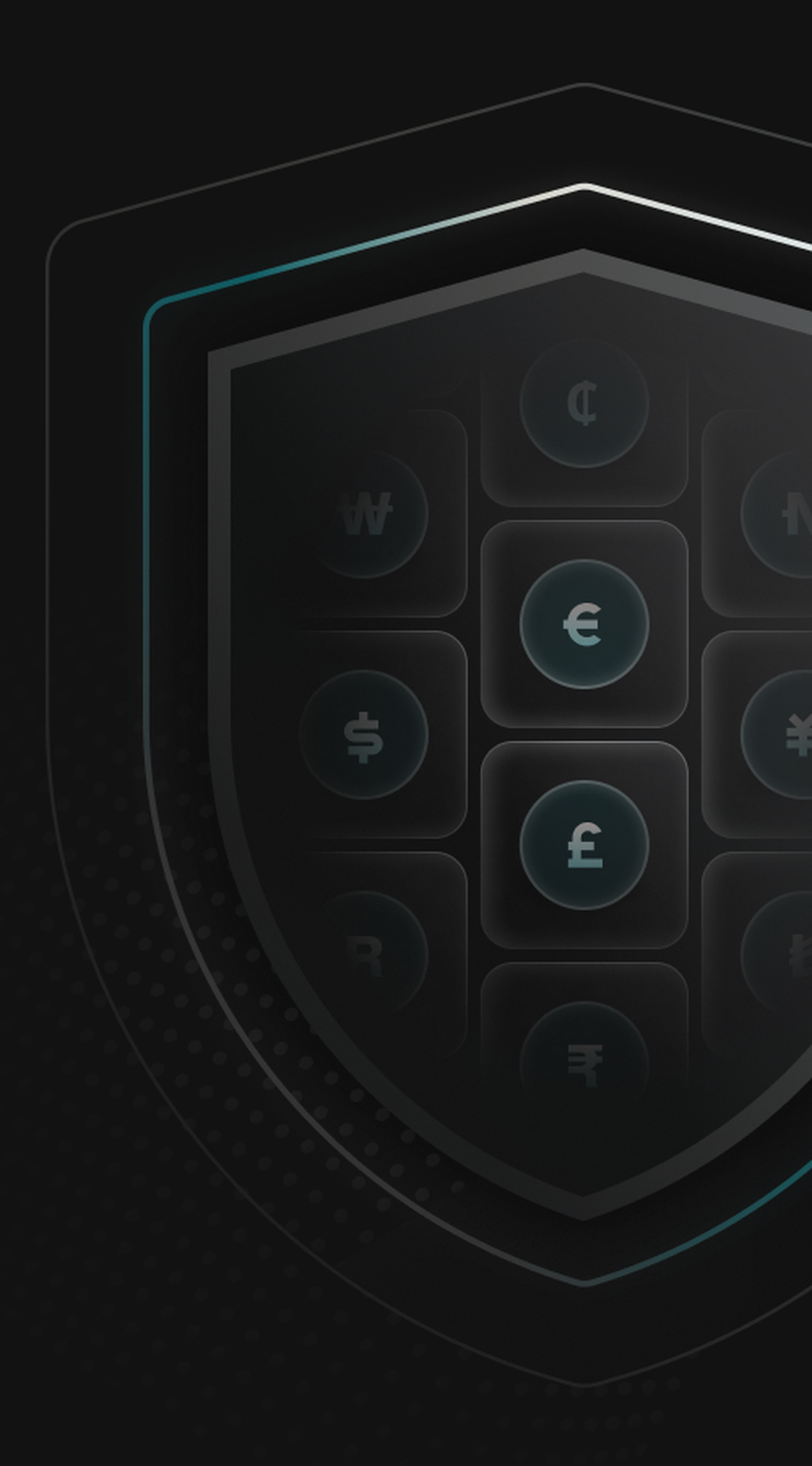 A dark shield design featuring various currency symbols, including euro, pound, and dollar, on a grid-like pattern.