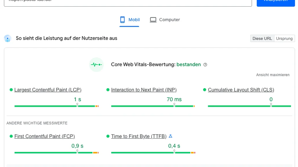 Web-Leistungsbericht mit folgenden Kennzahlen: LCP, INP, CLS, FCP und TTFB. Alle Indikatoren sind mit Häkchen versehen, was auf eine erfolgreiche Leistung hinweist.