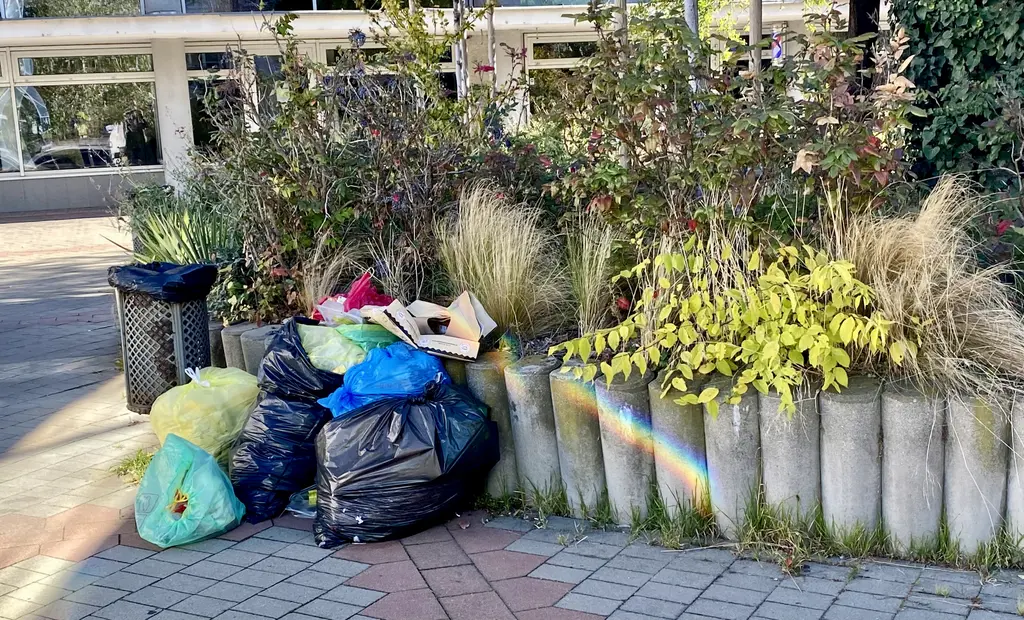 This is my version of punk