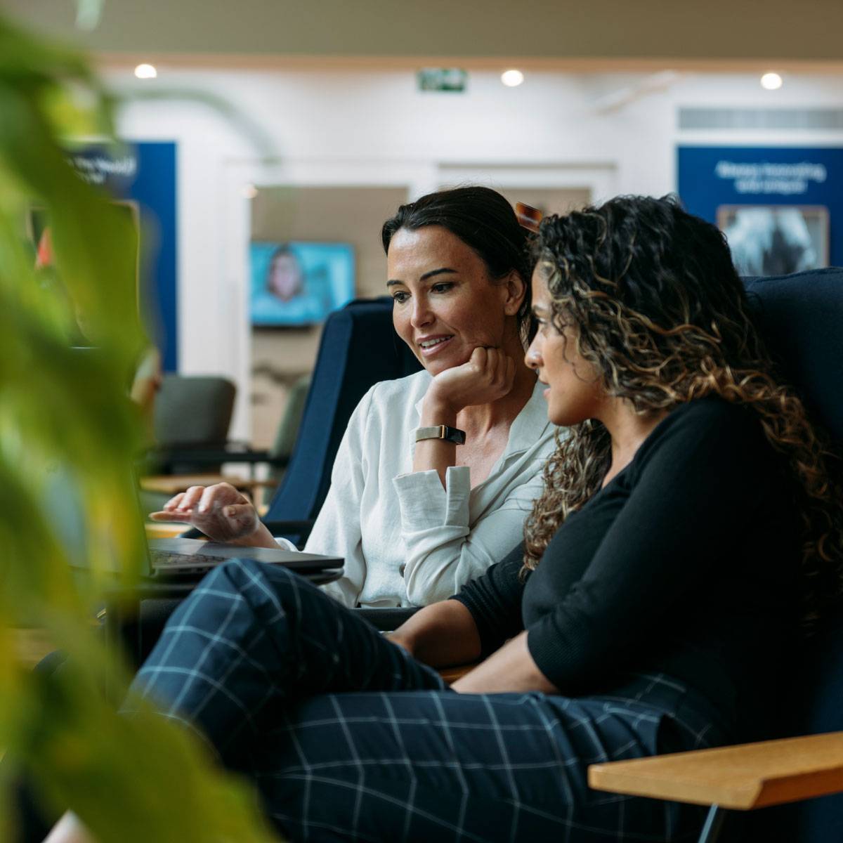 Gestione del programma e supporto per i clienti