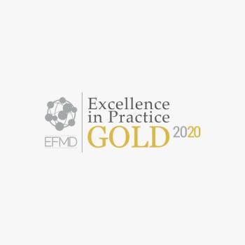 EFMD award for language training with clients