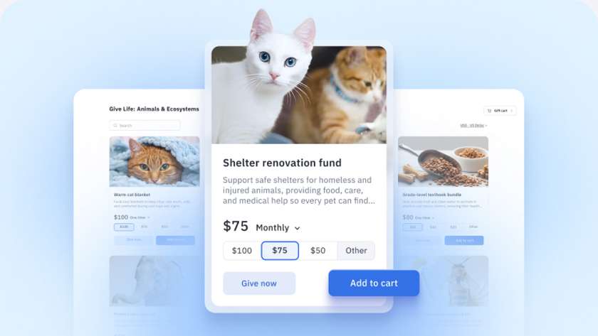 Let supporters give to more than one program with Gift Cart