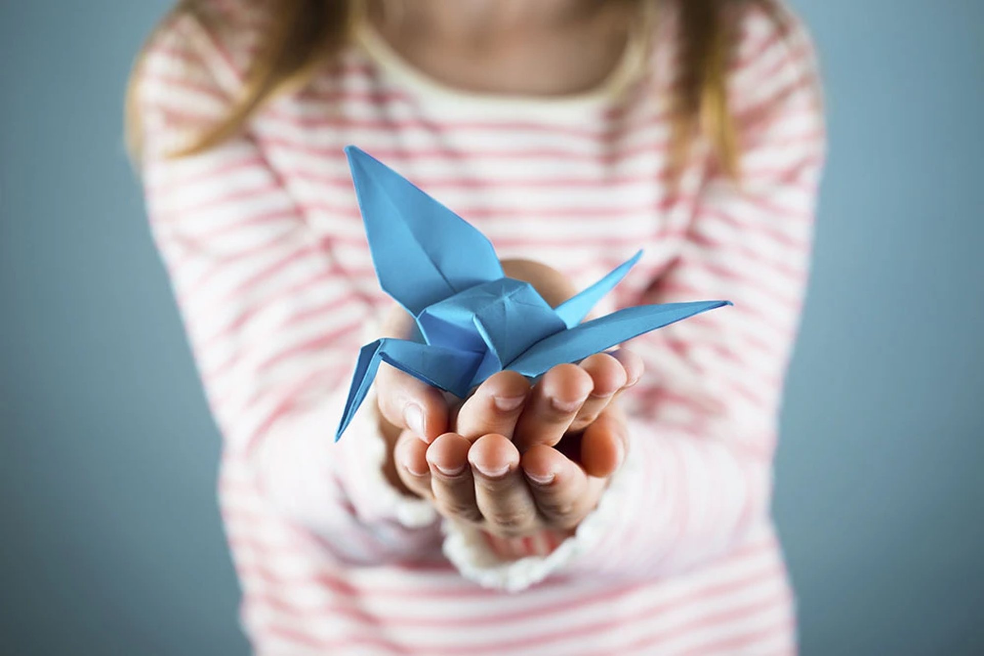 garza blanca puerto vallarta