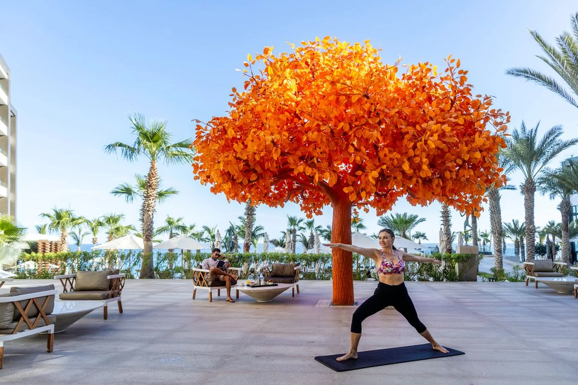 woman doing yoga in the orange tree
