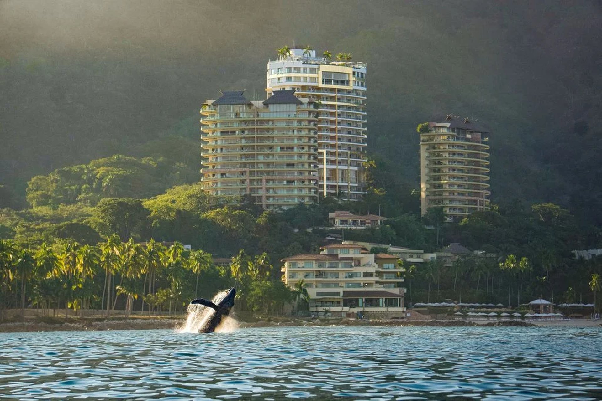 Garza Blanca Puerto Vallarta