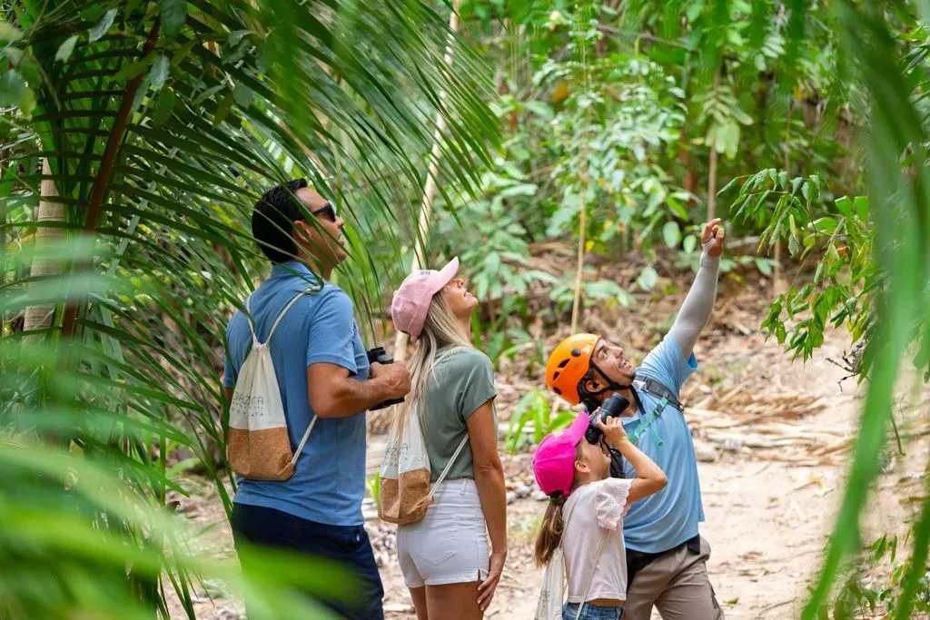 tours & excursions hotel mousai puerto vallarta