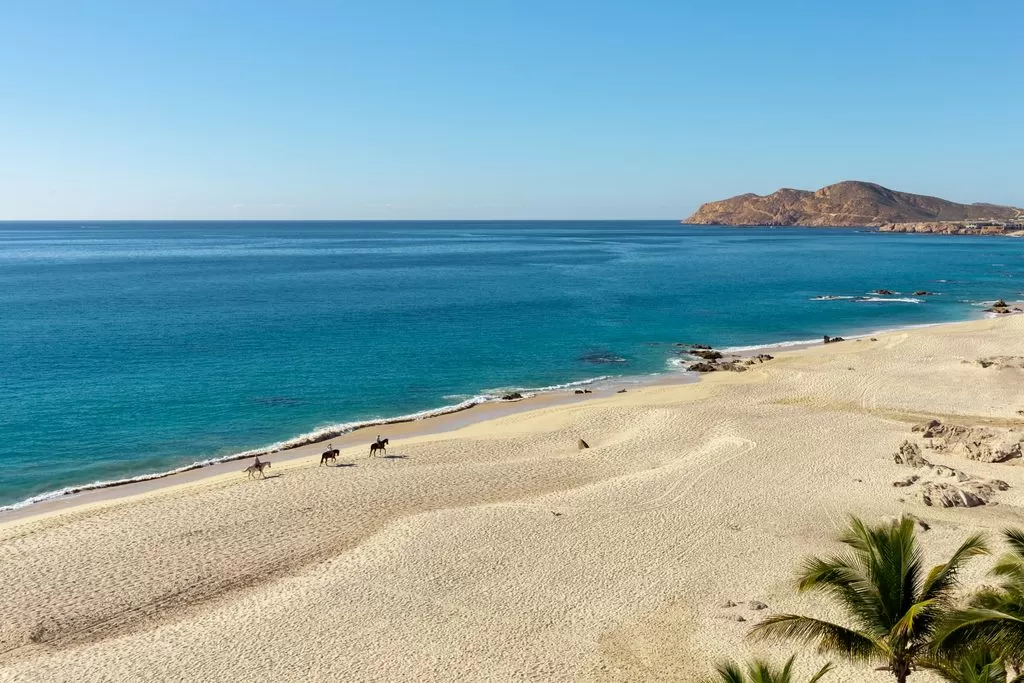 aerial-view-of-the-garza-blanca-cabo-beach