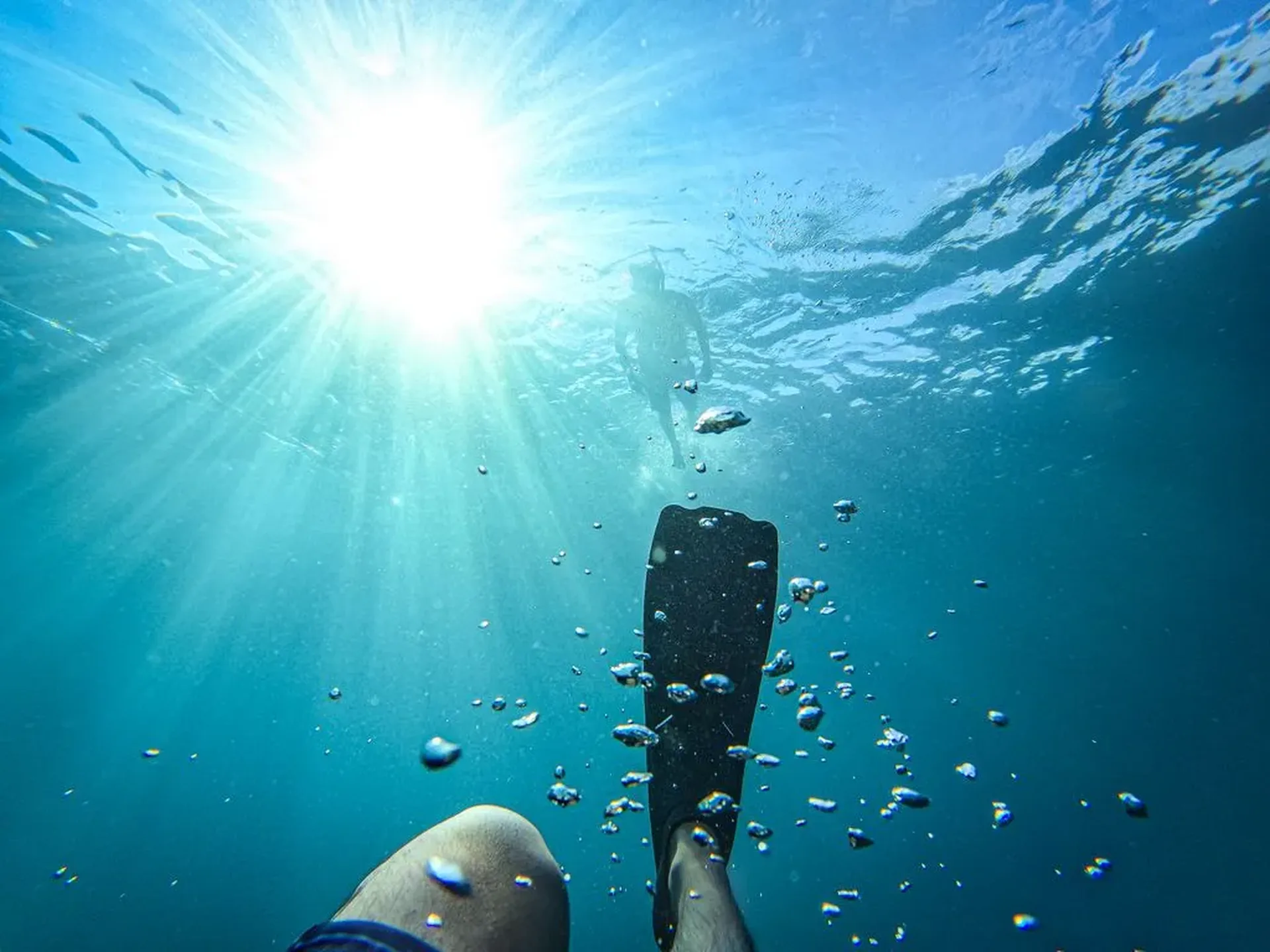 snorkel tour in puerto vallarta