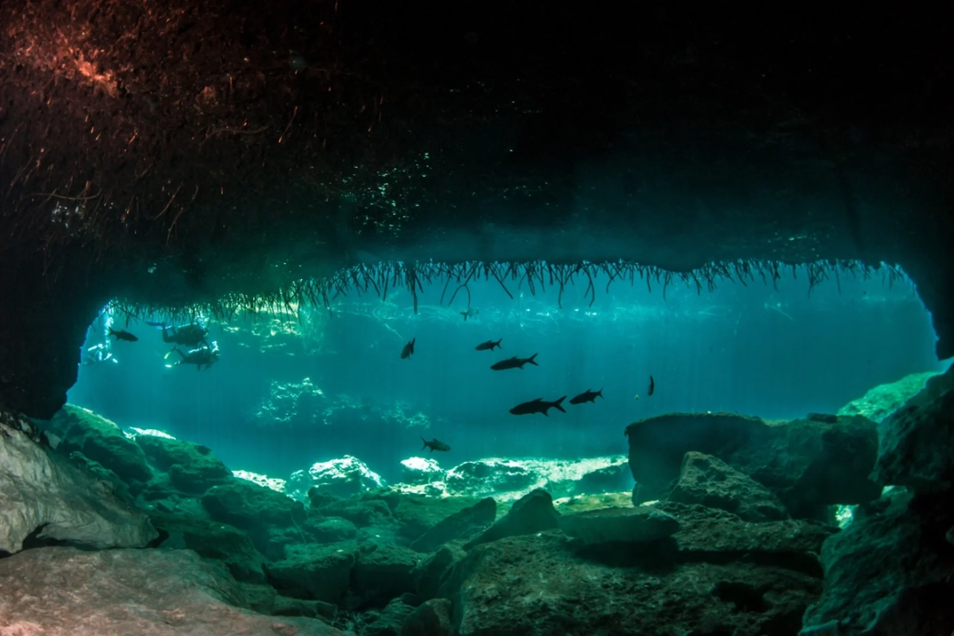 activities such as scuba diving