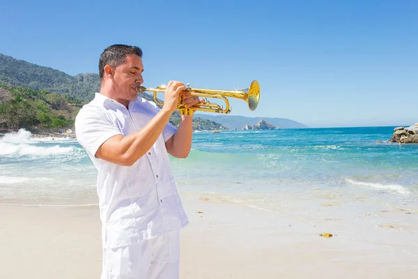 Hotel Mousai Puerto Vallarta - Music For The Senses