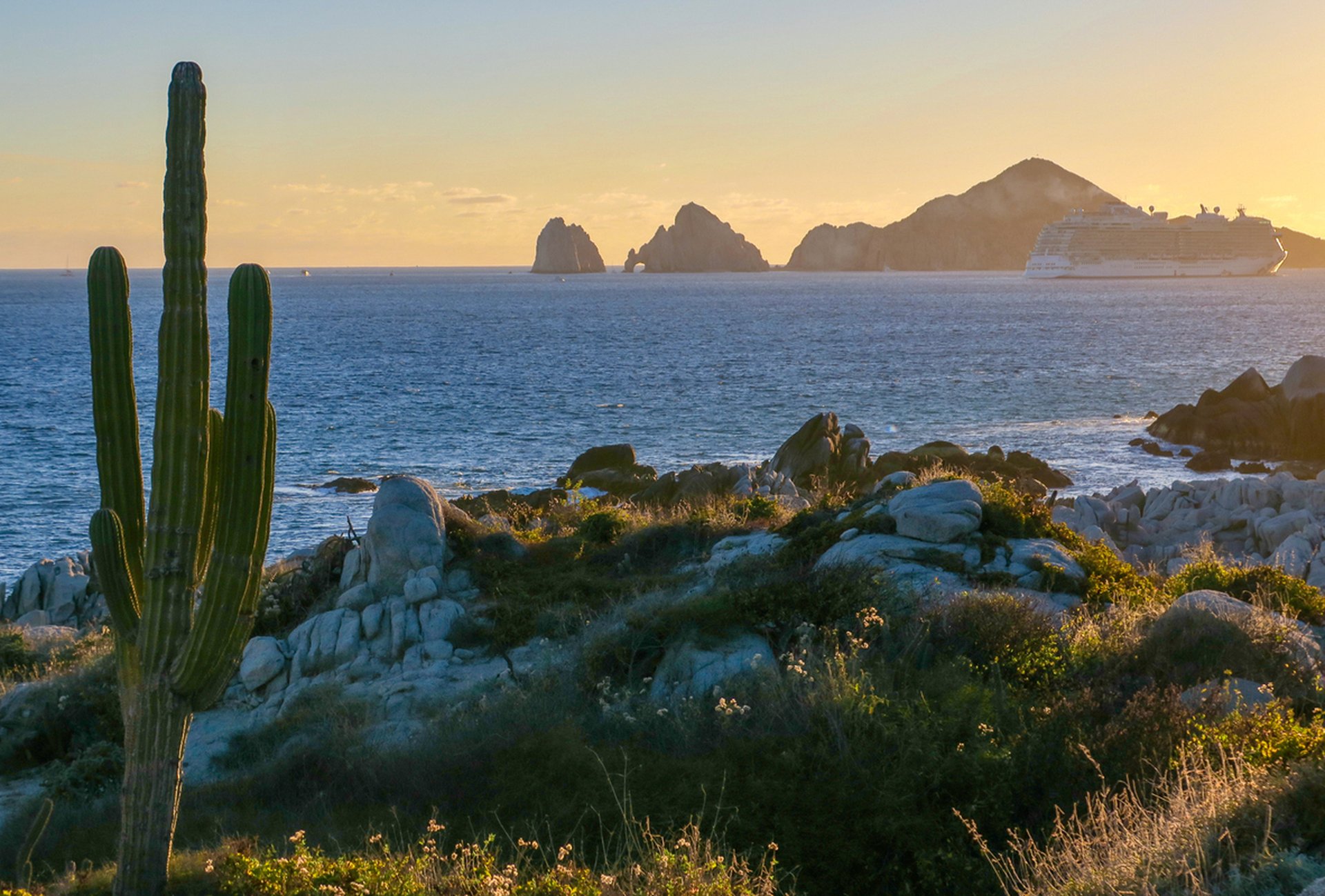 Sunset over a rugged Mexican coast: tall foreground cactus, rocky terrain, blue sea, distant islets, and a cruise ship on the horizon.