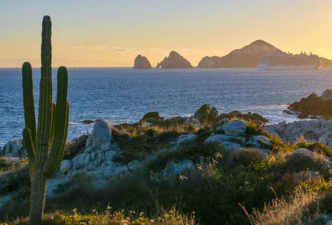 Sunset over a rugged Mexican coast: tall foreground cactus, rocky terrain, blue sea, distant islets, and a cruise ship on the horizon.