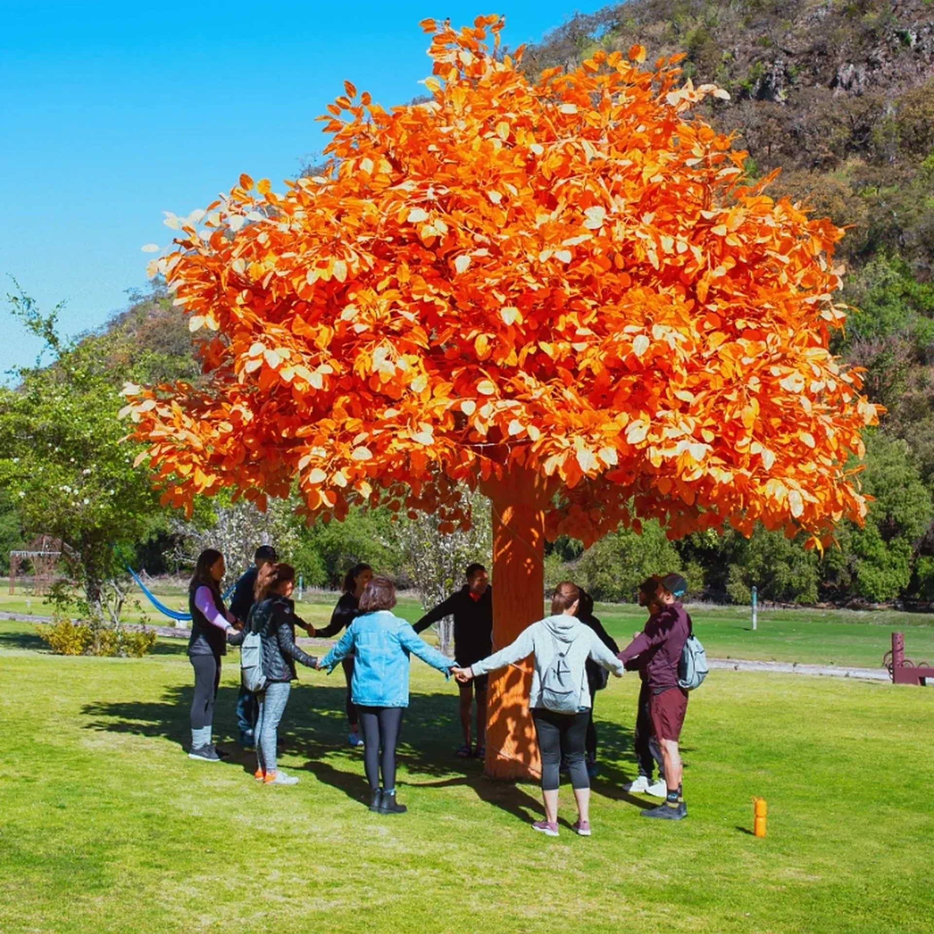 Team-building activity under the orange tree at Sierra Lago
