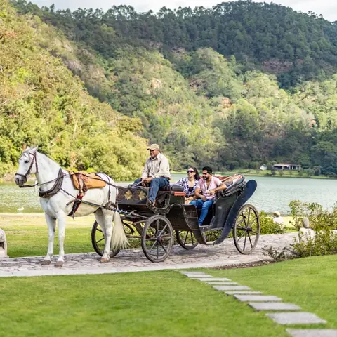 Horse-drawn carriage ride by the lake at Sierra Lago