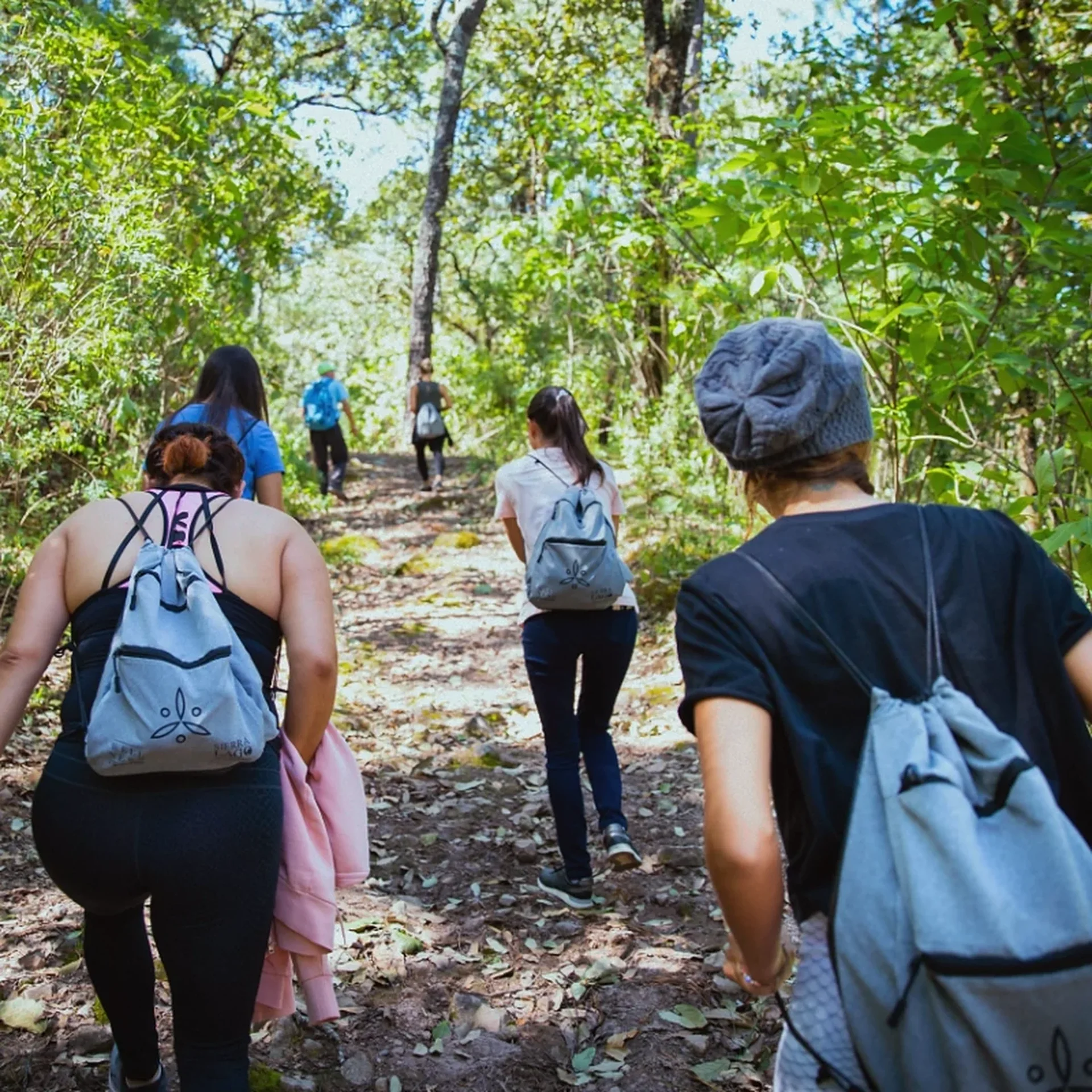 Group hiking through the forest at Sierra Lago