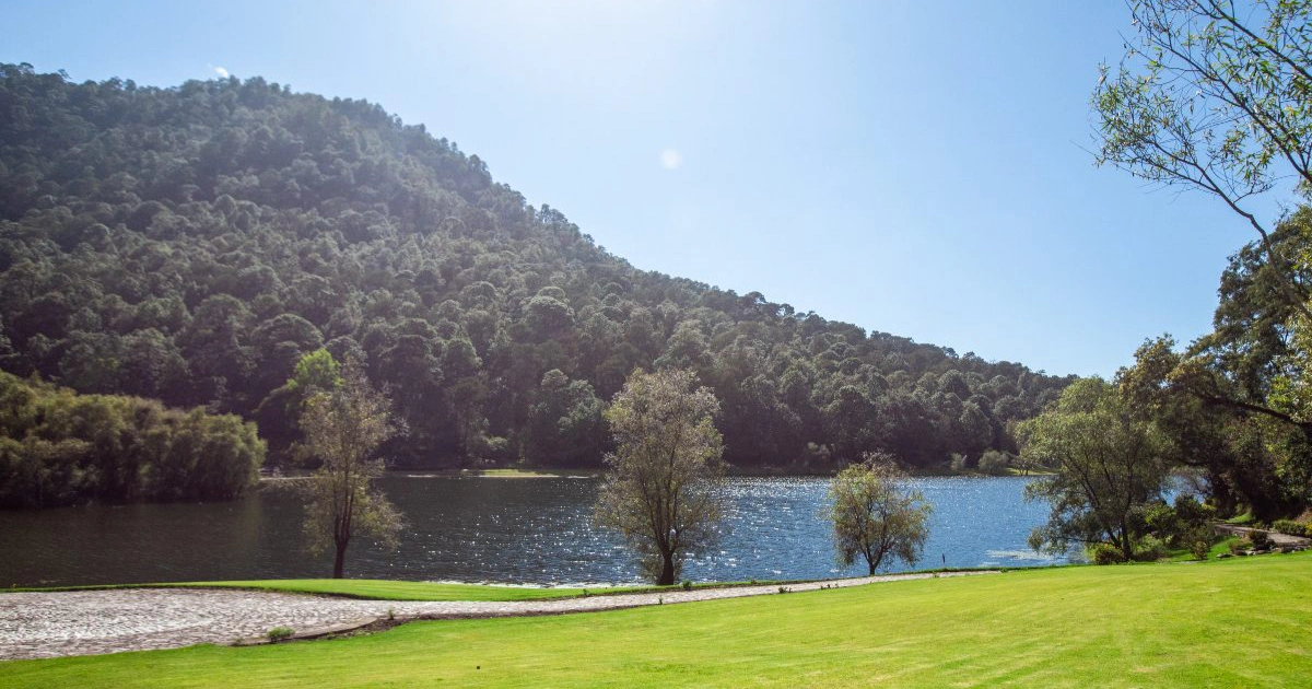 Warm afternoon light over the lake and forest at Sierra Lago in Mascota, Jalisco
