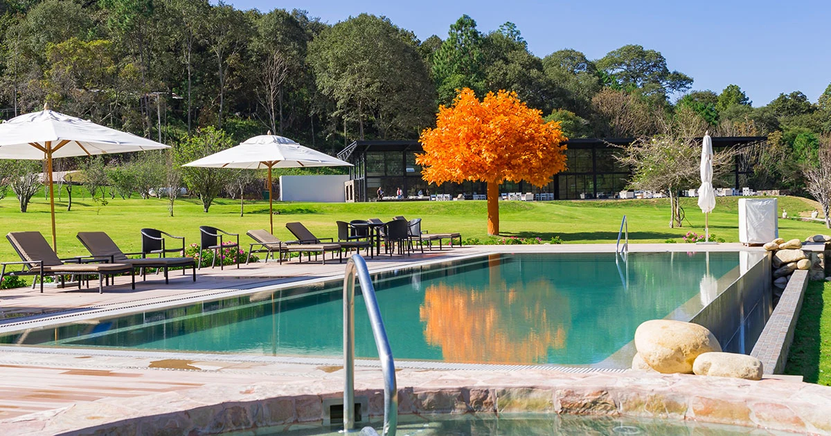 The Orange Tree, an orange-colored tree next to the pool at Sierra Lago
