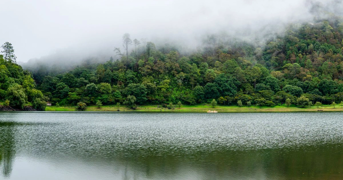 Juanacatl&aacute;n lake surrounded by conifer forest at Sierra Lago
