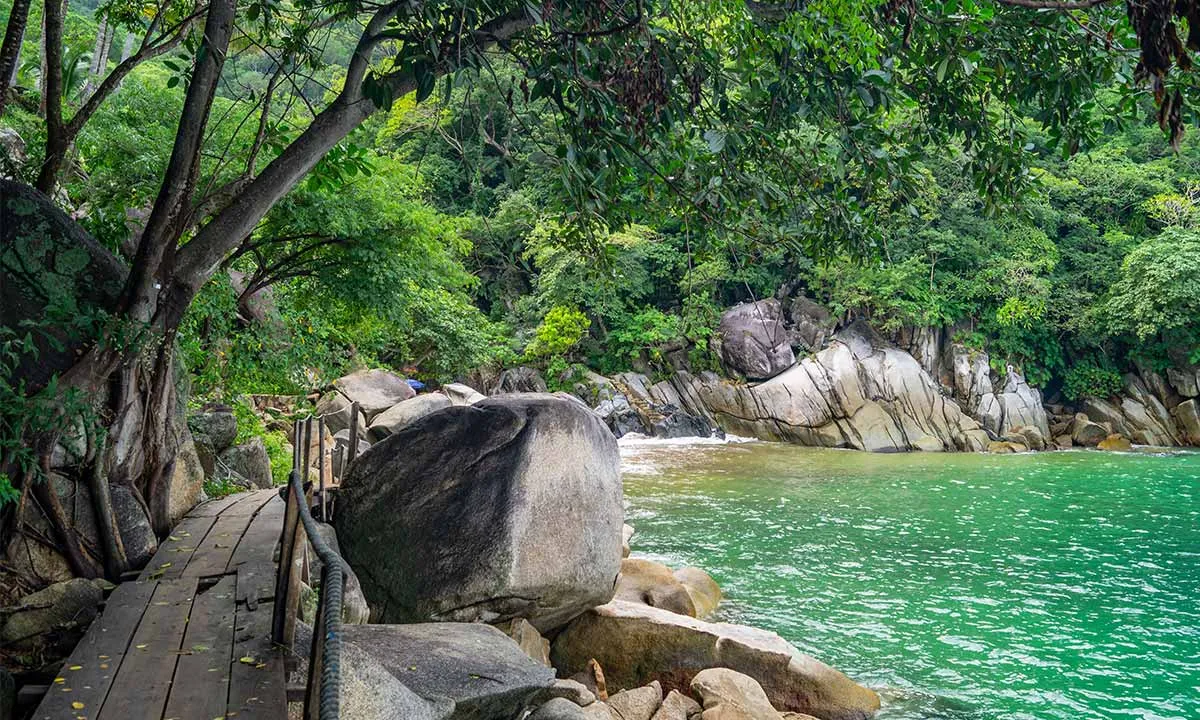 Wooden path alongside lush greenery and large rocks by a serene turquoise bay.