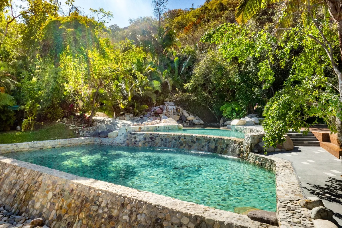 Serene natural pool surrounded by lush greenery and sunlit trees, creating a tranquil, tropical oasis.