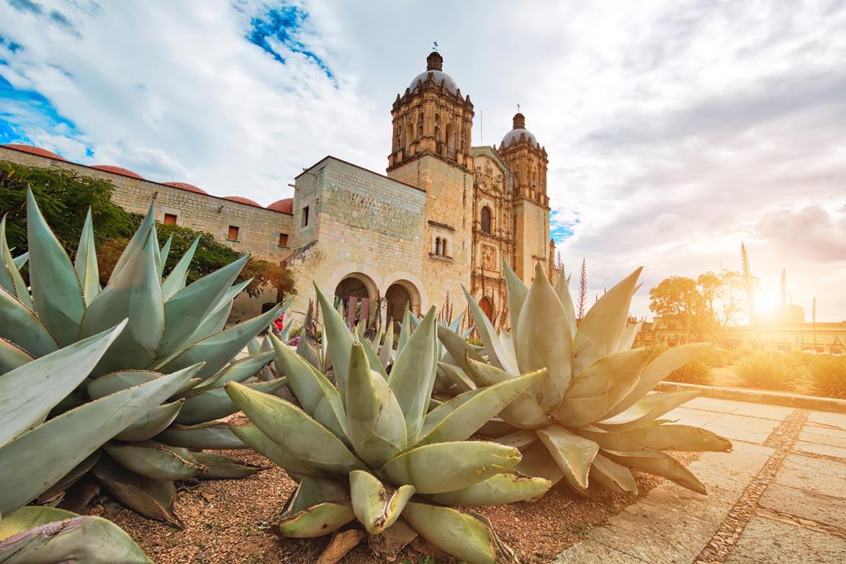 Sunlit view of the historic Santo Domingo Church in Oaxaca, Mexico, with large agave plants in the foreground under a cloudy sky.