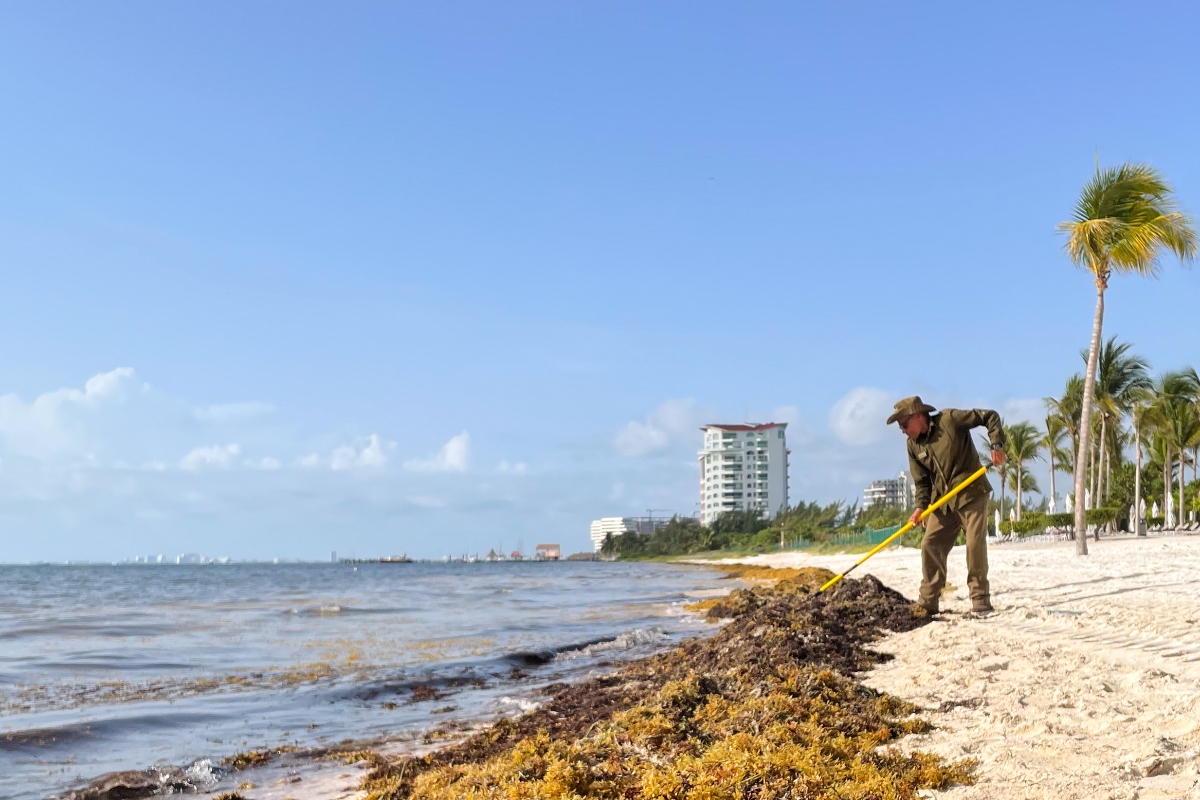 tafer-resorts-satff-cleaning-the-beach-in-cancun-costa-mujeres