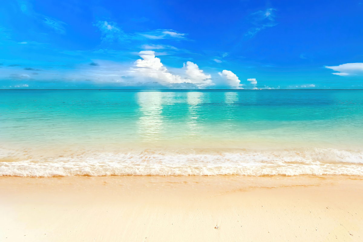 playa-tortugas-near-cancun