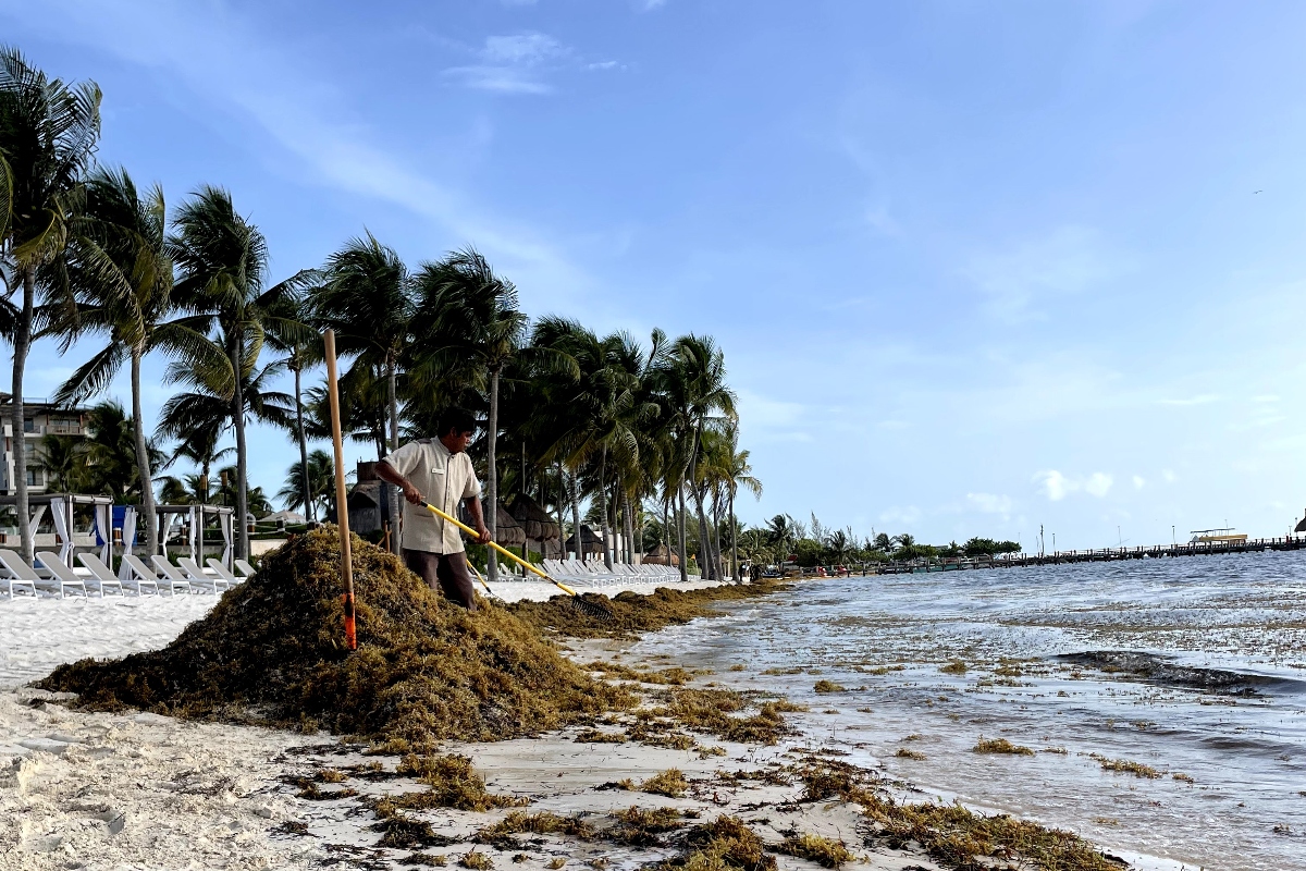 worker-removing-seaweed-of-the-garza-blanca-cancun-beach