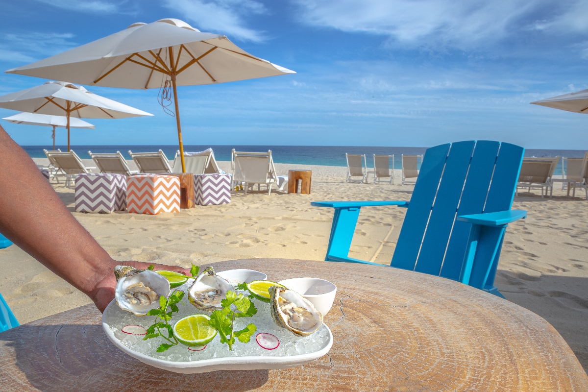 oysters on ice with lime and herbs on a beachside table at garza blanca cabo foodtruck.