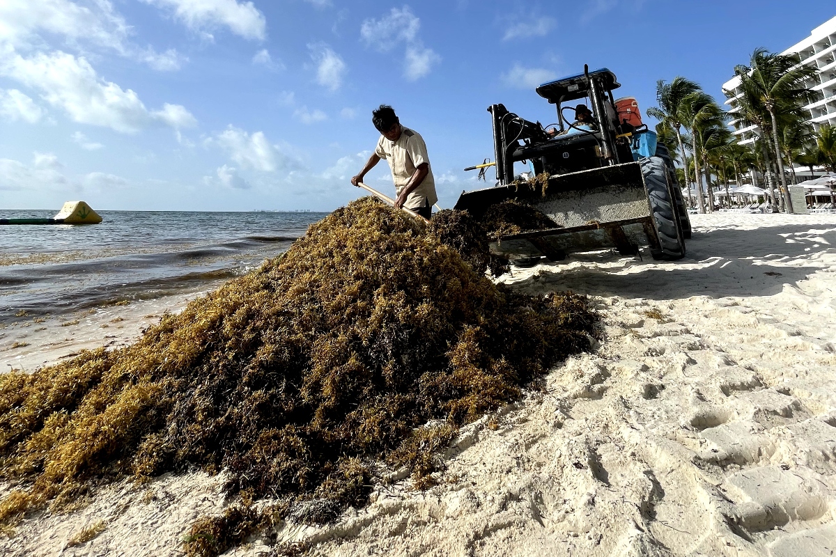 worker-removing-seaweed-of-the-garza-blanca-cancun-beach