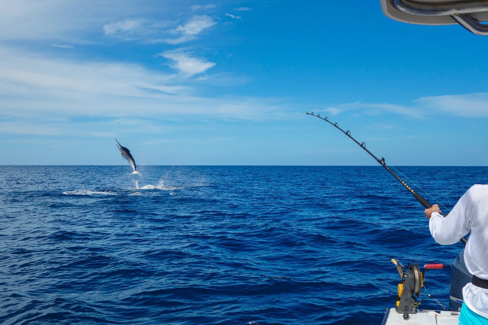 A person fishing on a boat, reeling in a leaping fish against a clear blue sea and sky backdrop.