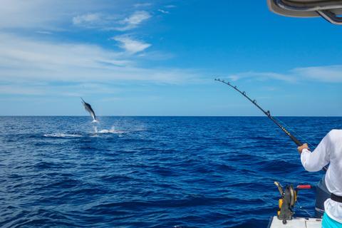 A person fishing on a boat, reeling in a leaping fish against a clear blue sea and sky backdrop.