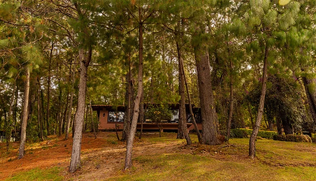 Jazmin Cabin