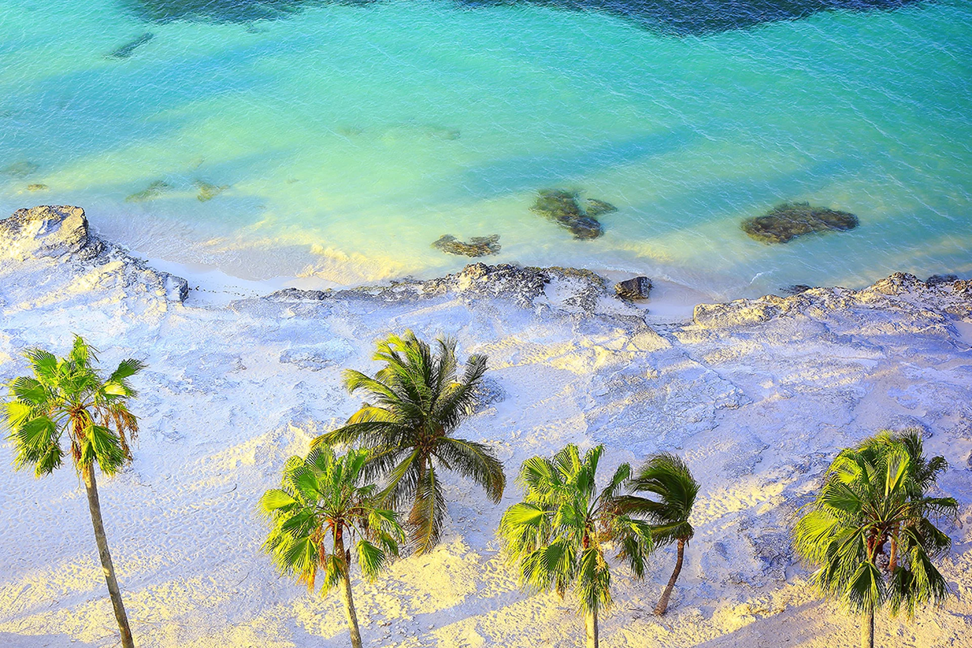 Playa de arena blanca en Cancún