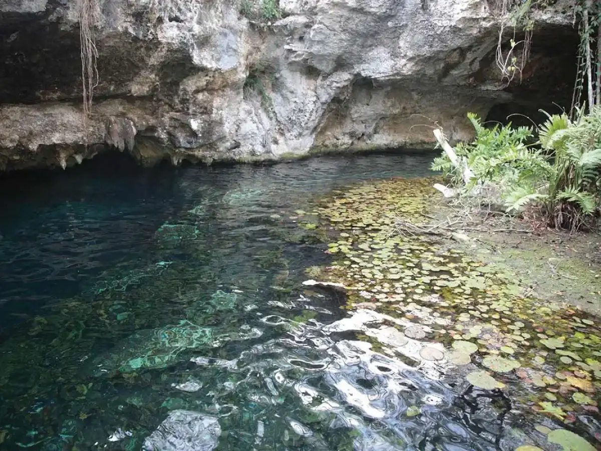 gran cenote tulum