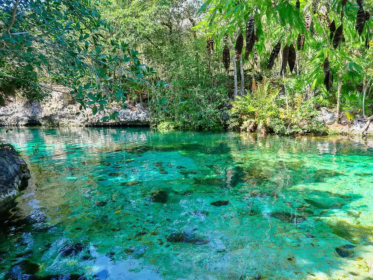 Cancun - Cenote