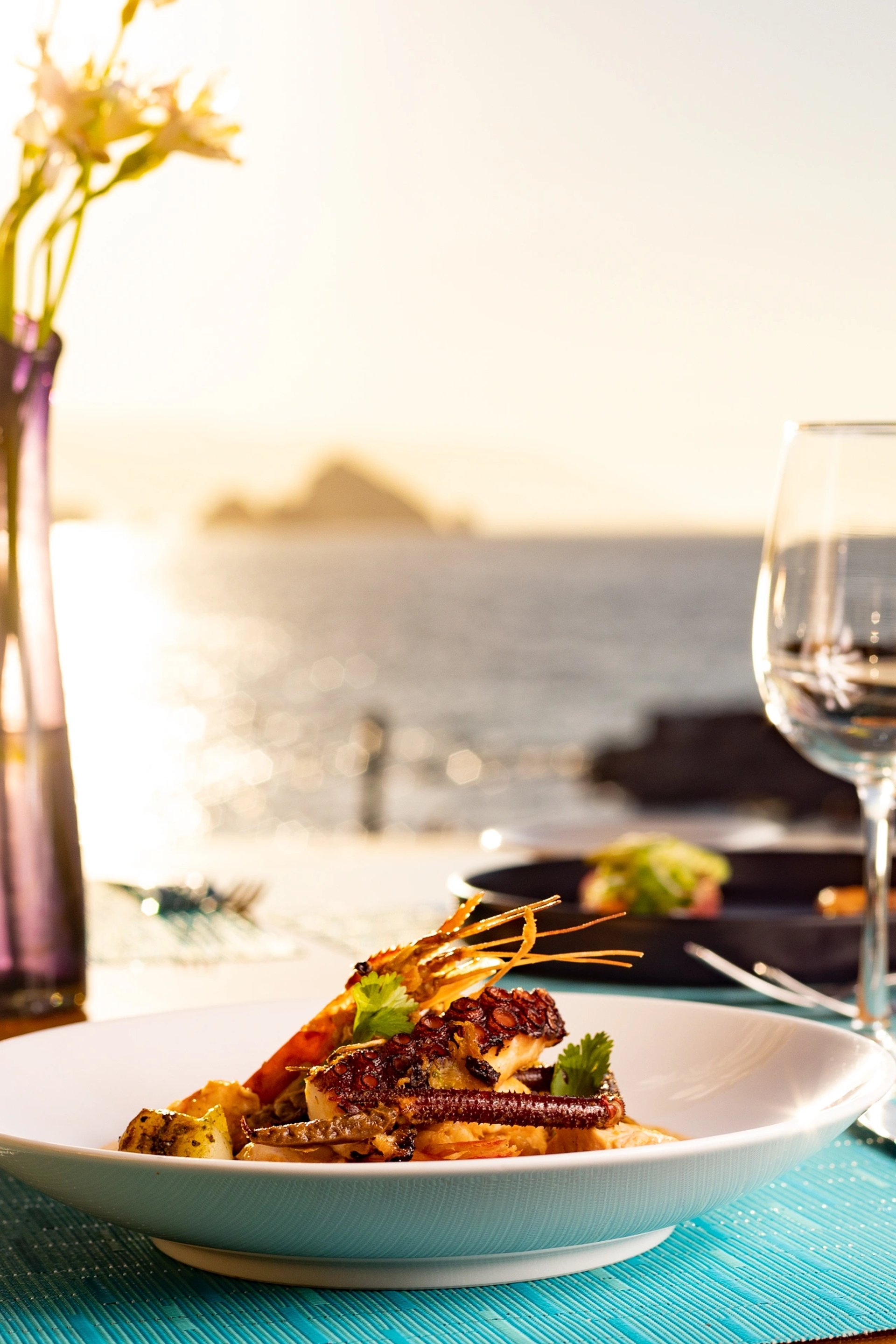 culinary journeys garza blanca puerto vallarta