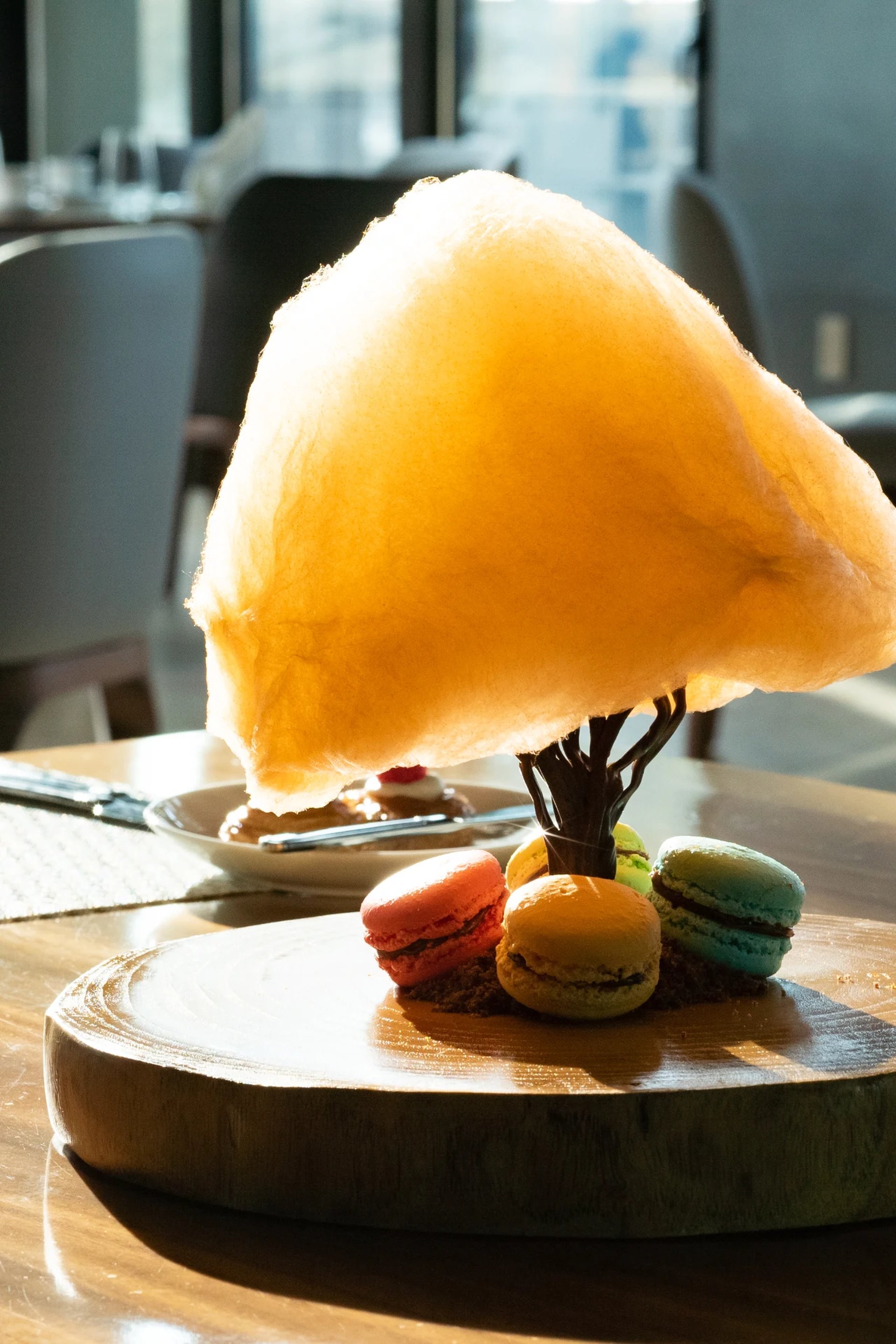 Cotton candy tree with macarons