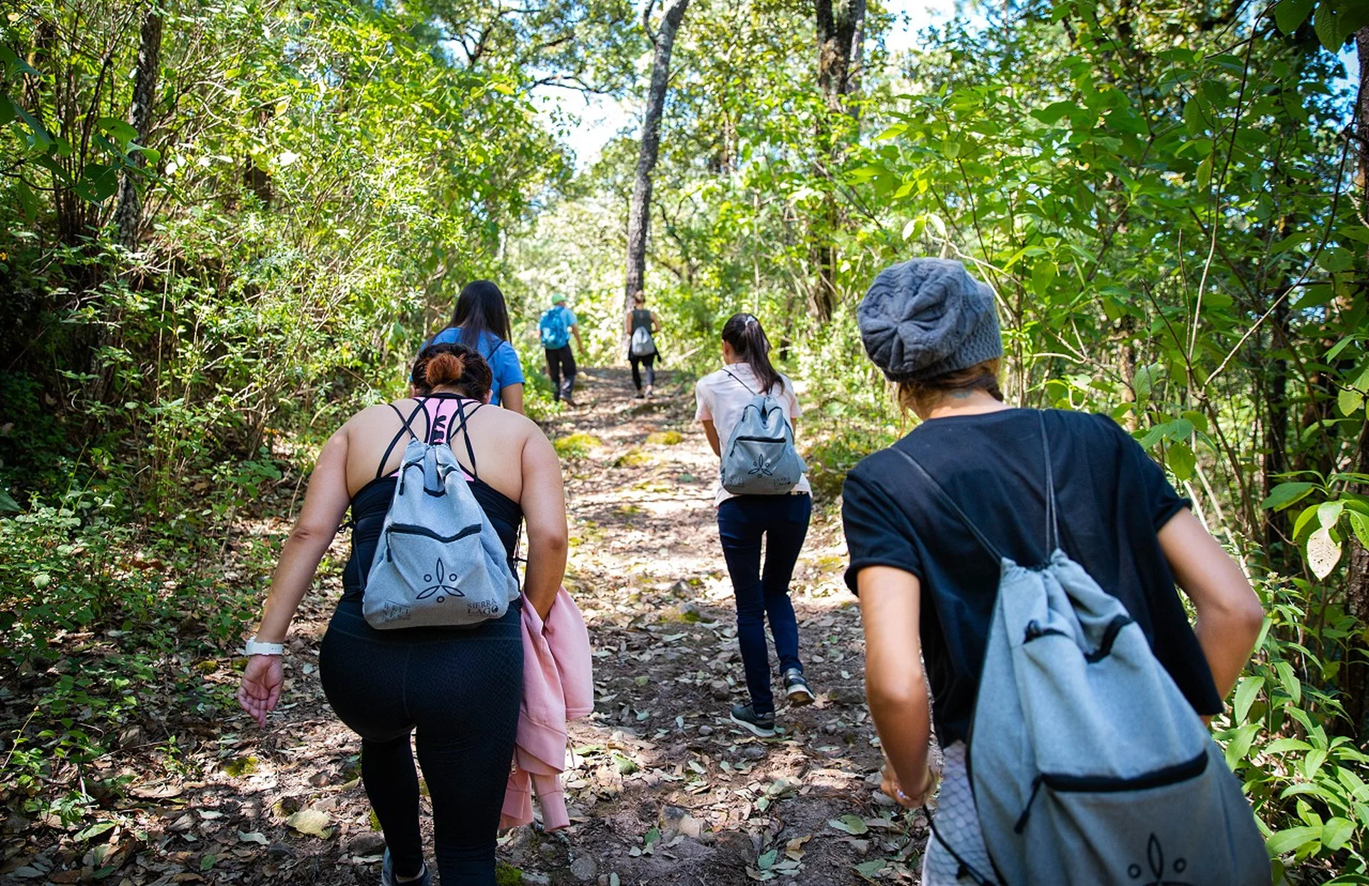 Hikers on a mountain trail