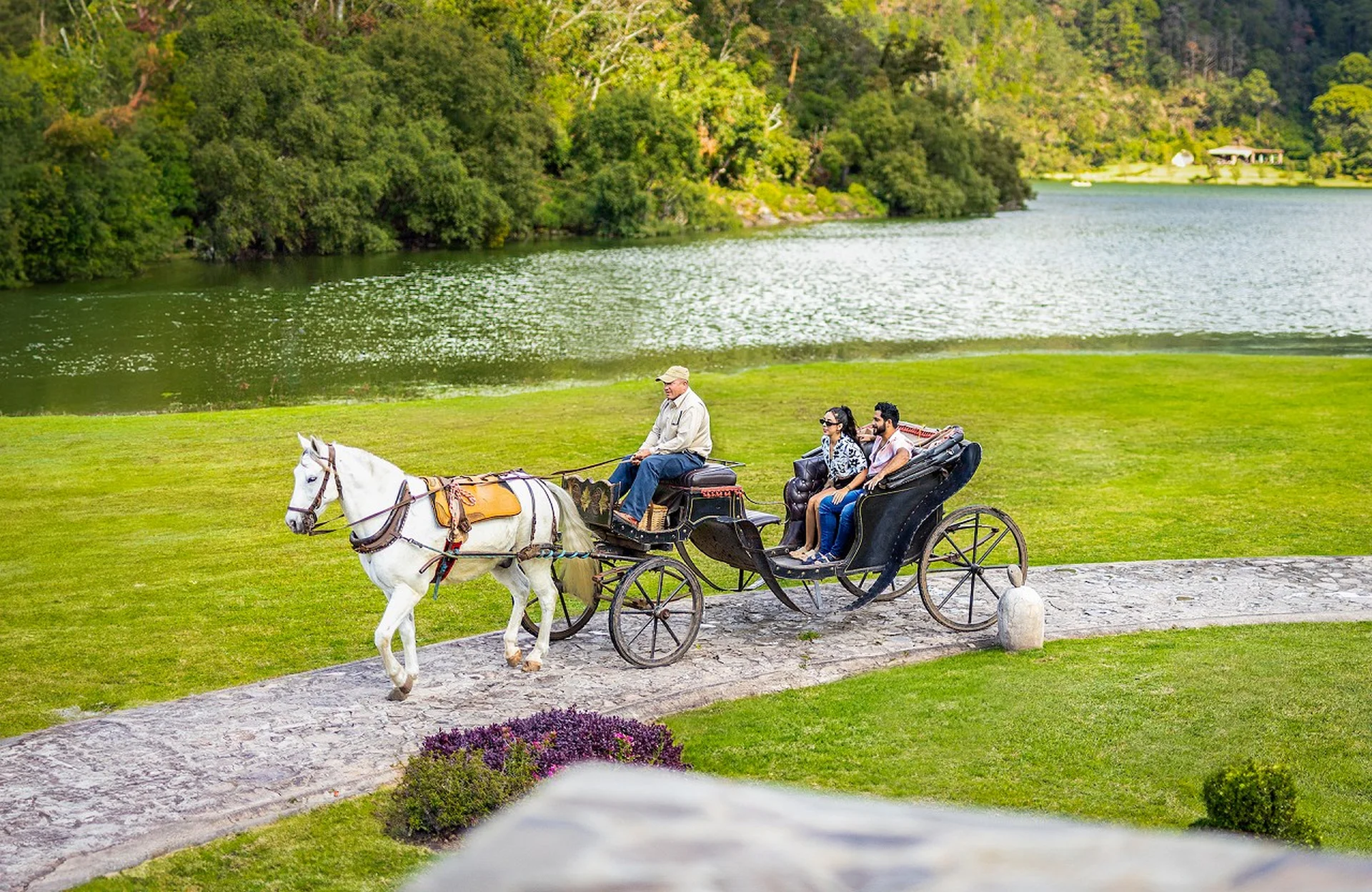 Horse-drawn carriage ride